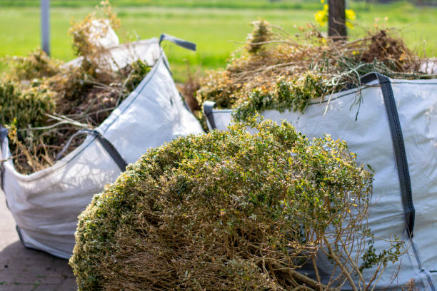  Grafton, WV Junk Removal Pros