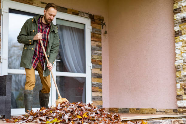 Best Household Junk Removal  in Grafton, WV